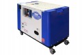 Дизельный сварочный генератор TSS DGW-300ES